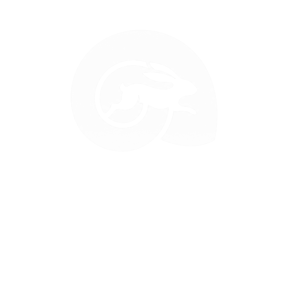Festina Lente Agency